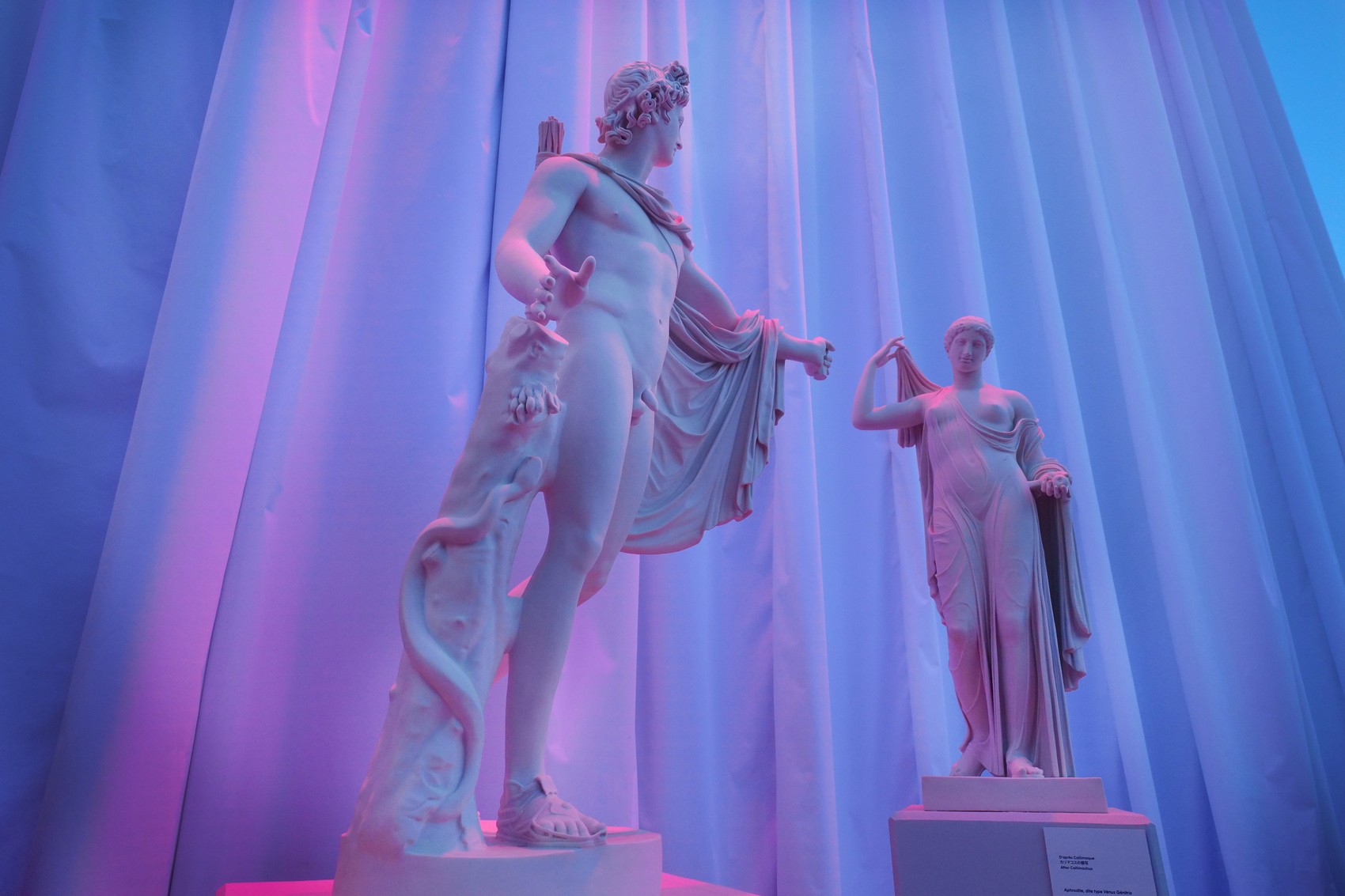 图片[18] - 2025年日本大阪世博会 法国馆展览设计 现场照片 - 逛展分享社区 - 交流 - 展示谷