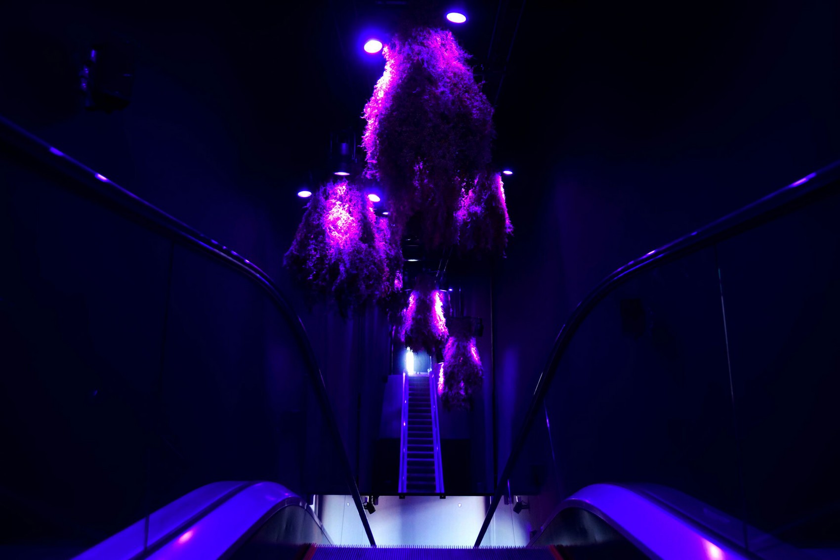 图片[26] - 2025年日本大阪世博会 法国馆展览设计 现场照片 - 逛展分享社区 - 交流 - 展示谷